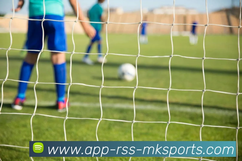 MK体育APP发展历程